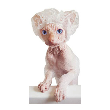 Kotomoda Shower Caps for Sphynx Cats and small pets 20pcs
